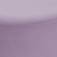 Champagne / Rosa thumbnail